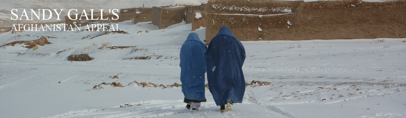 Health vistors Health vistors